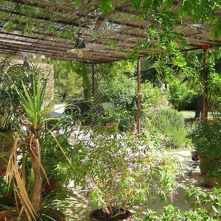 La Margottiere Bed & Breakfast Rians  Exterior photo